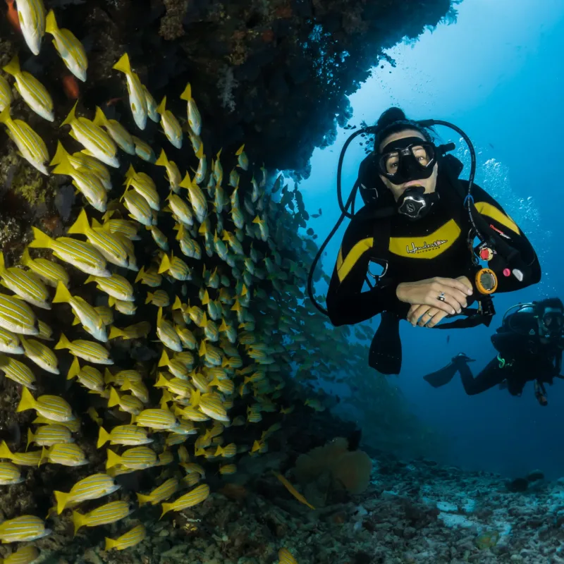 Scuba Diving in Goa: Full Guide 2025
